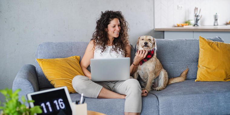 Woman with pet dog sitting and working indoors at home, using laptop