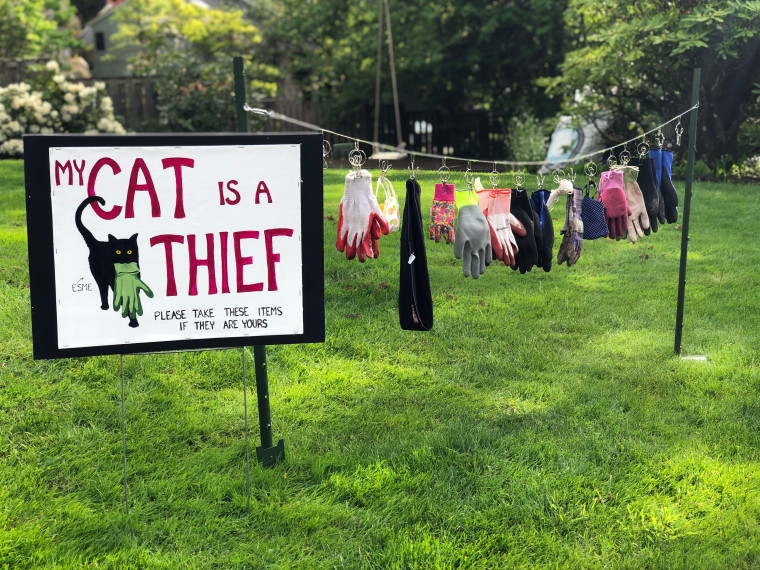 After committing her “petty” crimes in her neighborhood for a year, Kate Felmet finally posted a sign in her yard and fessed up to her cat’s tendencies.