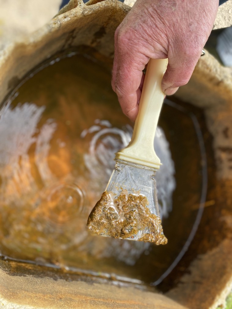 The thick, rust-colored sludge left behind by Hazel and Berlyn Cooper's well water.