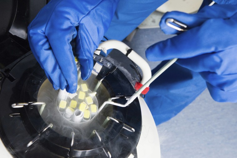 Image: Fertilized embryos are stored in liquid nitrogen filled tanks to keep them as new.