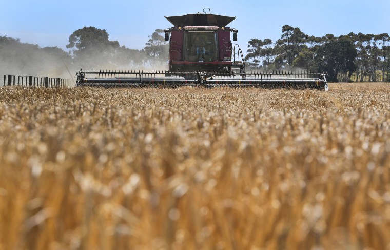 Image: A paddock of barley being harvested on a farm near Inverleigh, west of Melbourne, Australia