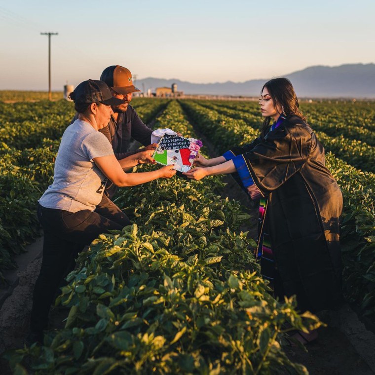 Jennifer Rocha and her parents Jose Juan and Angelica Marie worked in these fields near their home in Coachella, California, together from the time she was a teenager. 