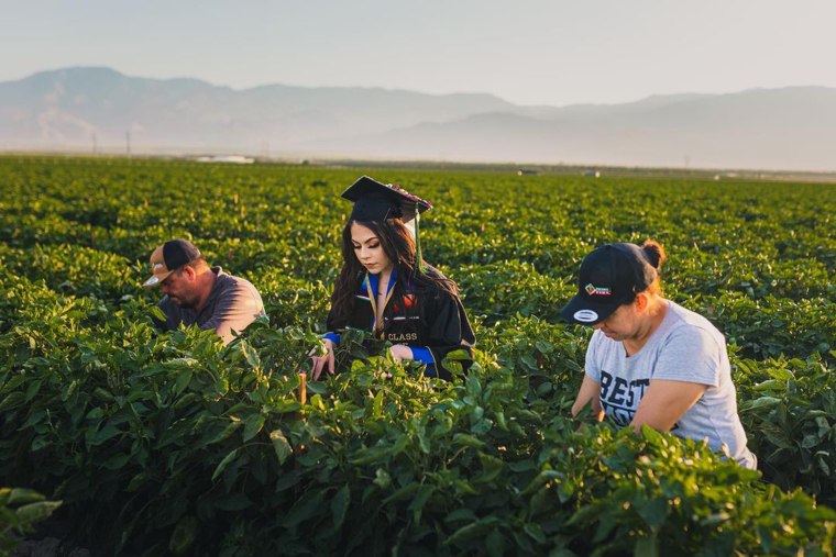 Jennifer Rocha has been working in the fields with her parents, Jose Juan and Angelica Maria, since she was in high school.