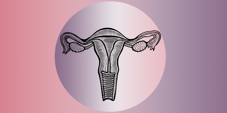 The uterus is usually an inverted pear shape, but some people have anomalies that can affect their fertility.
