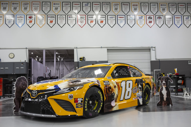 Kyle Busch's No.18 Toyota Camry with paint scheme of adoptable dogs