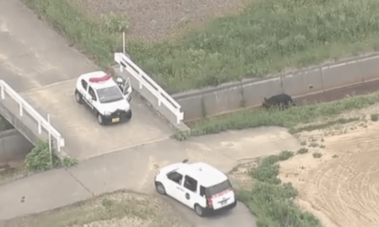 Image:  A brown bear that is on the loose in Sapporo, Hokkaido prefecture, Japan on June 18, 2021.