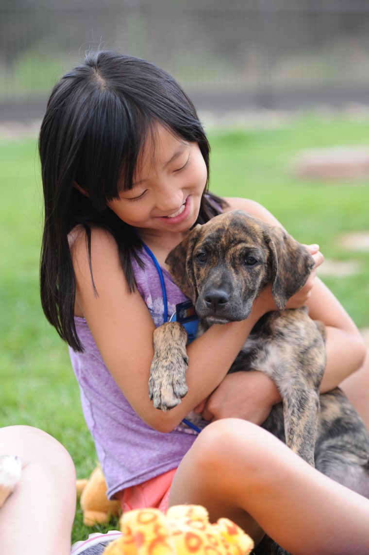A young girl smiles with a puppy