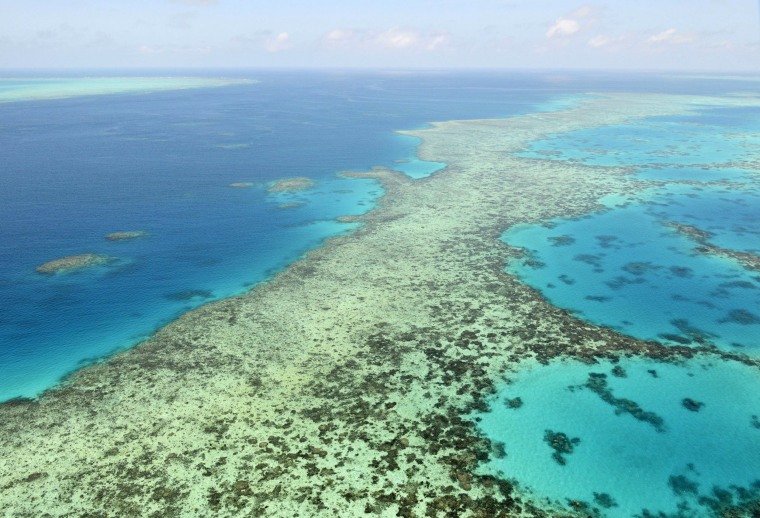 Image: Australia said Tuesday, June 22, 2021, it will fight a recommendation for the Great Barrier Reef to be listed as in danger of losing its World Heritage values due to climate change
