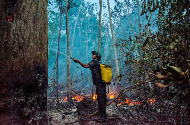 Bolsonaro should be tried for crimes against humanity, Indigenous