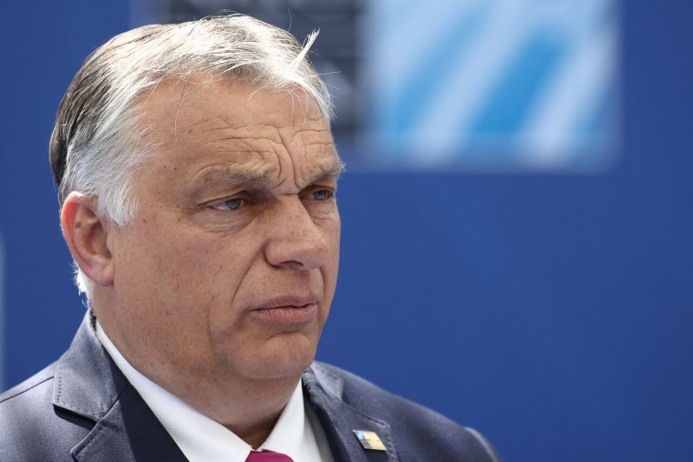 Image: Hungary Prime Minister Viktor Orbán arrives for a NATO summit at its headquarters in Brussels.