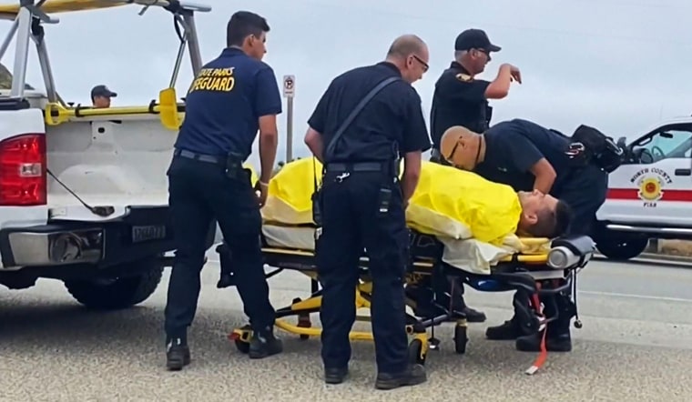 Image: Scuba diver attacked by shark being loaded into an ambulance.