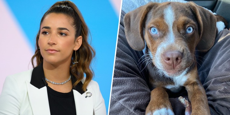Raisman's dog Mylo has been missing since the Fourth of July weekend.