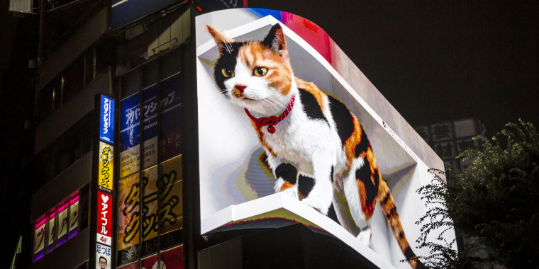 Giant 3D Digital Cat Projected Over Billboard In Tokyo