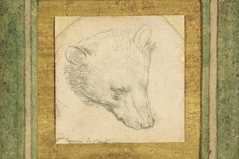 Leonardo da Vinci's "Head of a Bear".