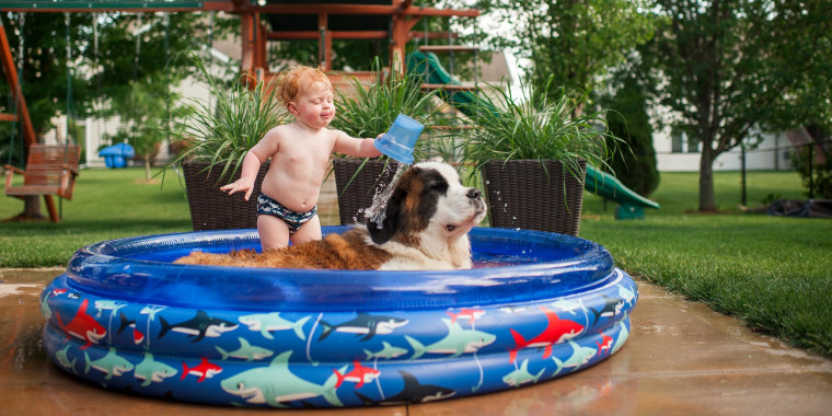 Shirtless baby boy pouring water on dog while standing in wading pool at yard