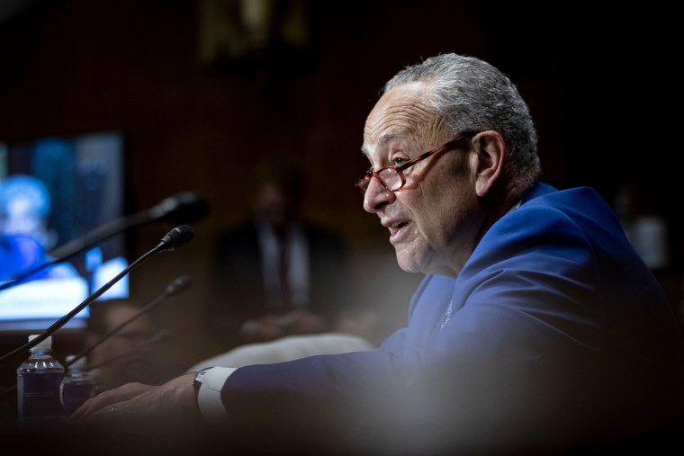Senate Majority Leader Chuck Schumer speaks during a Senate Judiciary committee hearing in on July 14.