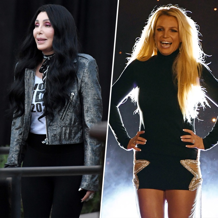 Might Cher and Britney Spears actually hit the beach together someday?