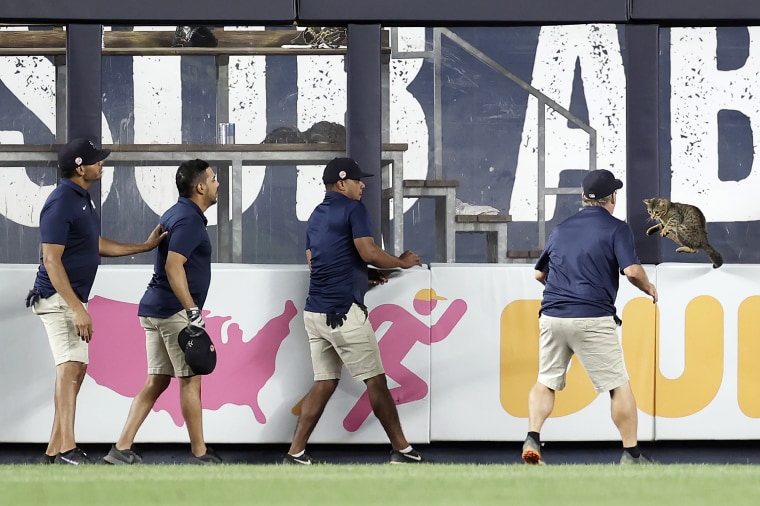 Baltimore Orioles v New York Yankees