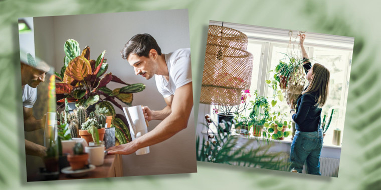 Illustration of a man watering his mini planters that are sitting on a window sill and a Woman hanging a planter indoors. Experts explain how to choose the best indoor pot to keep your plants healthy. Shop plastic plant pots, ceramic planters, hanging pla