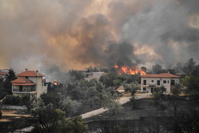 Image: Wildfire in Afidnes, Greece