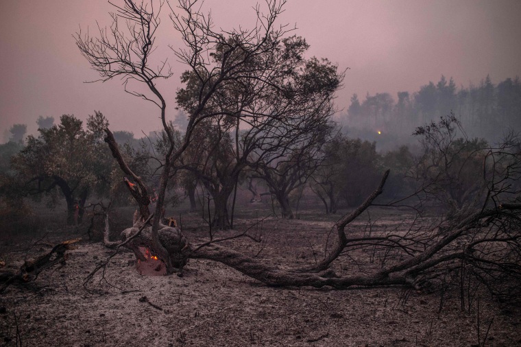 Image: A tree trunk burns during a wildfire at the village of Pefki on Evia, Greece