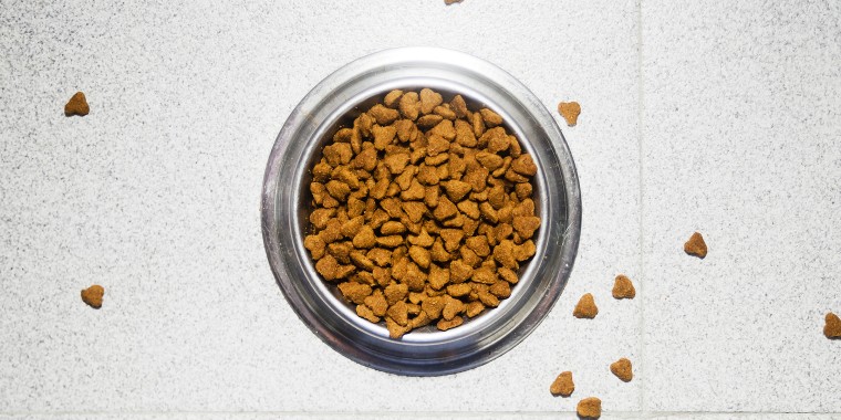 Pet dried food dish