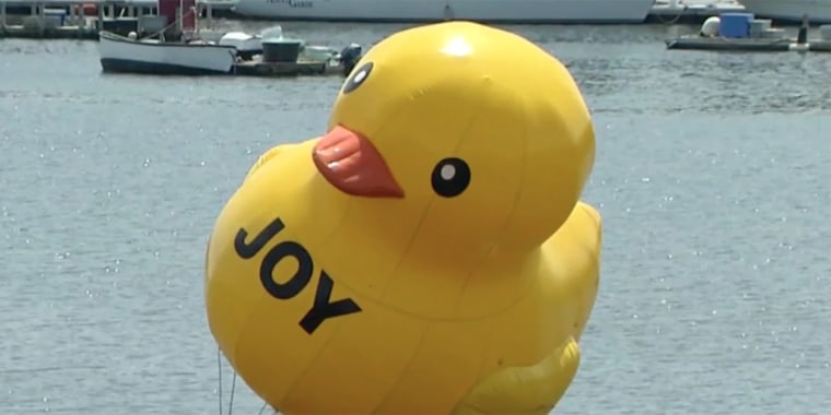 Giant rubber ducky appears in Belfast Harbor, charms the city