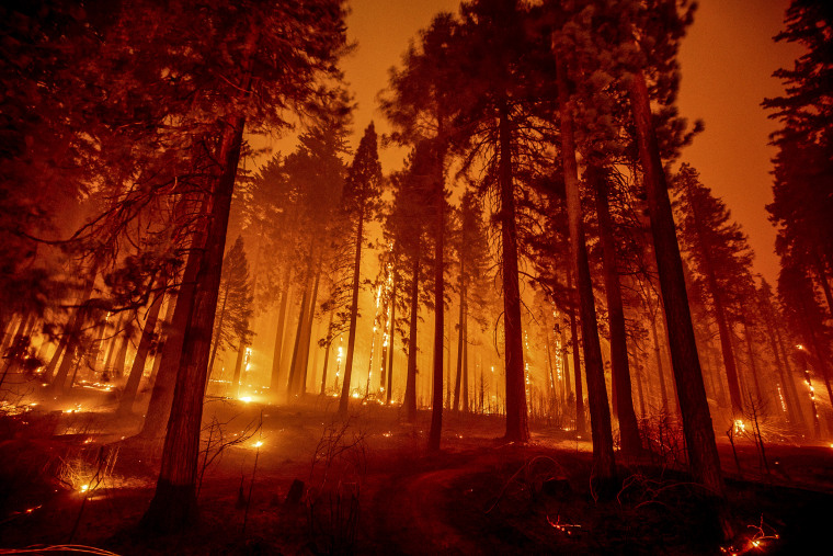 Image: The Caldor Fire burns through trees on Mormom Emigrant Trail east of Sly Park, Calif., on Aug. 17, 2021.