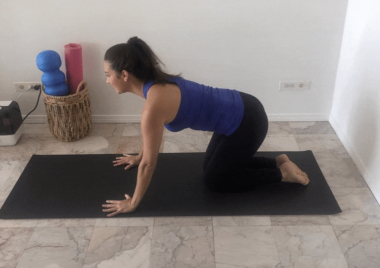 Adrianna Zaccardi Yoga Classes on Movement for Modern Life