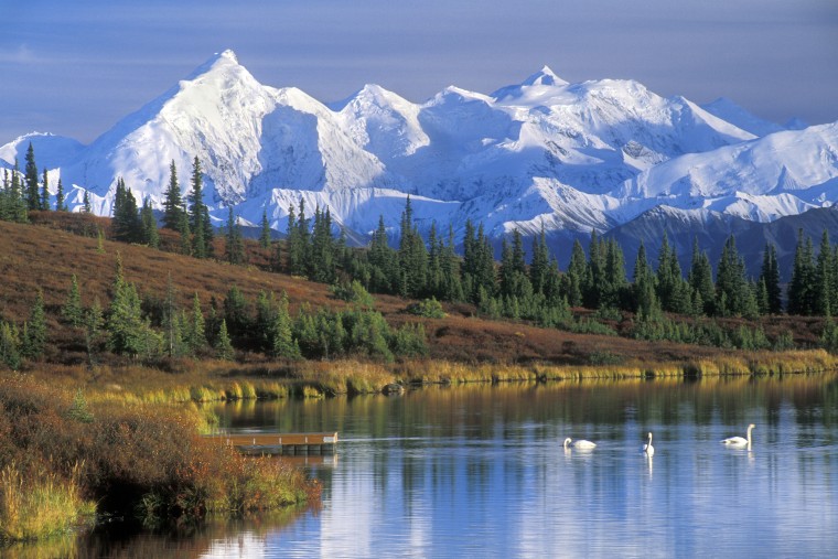 Image: The Alaska Range with Mount McKinley and Wonder Lake with Tundra swans in the fall.