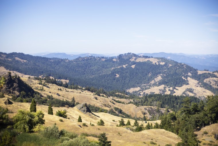 The King Range in Humboldt County, Calif., typically has wet winters and dry weather in summer. The drought year saw the rain stop early.