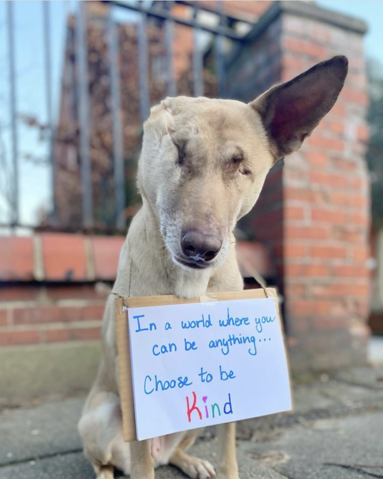 Maggie promotes kindness.