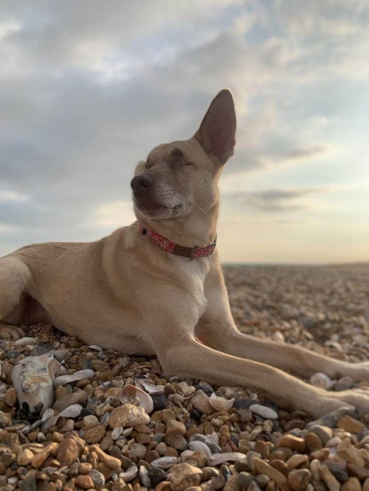 Maggie outside