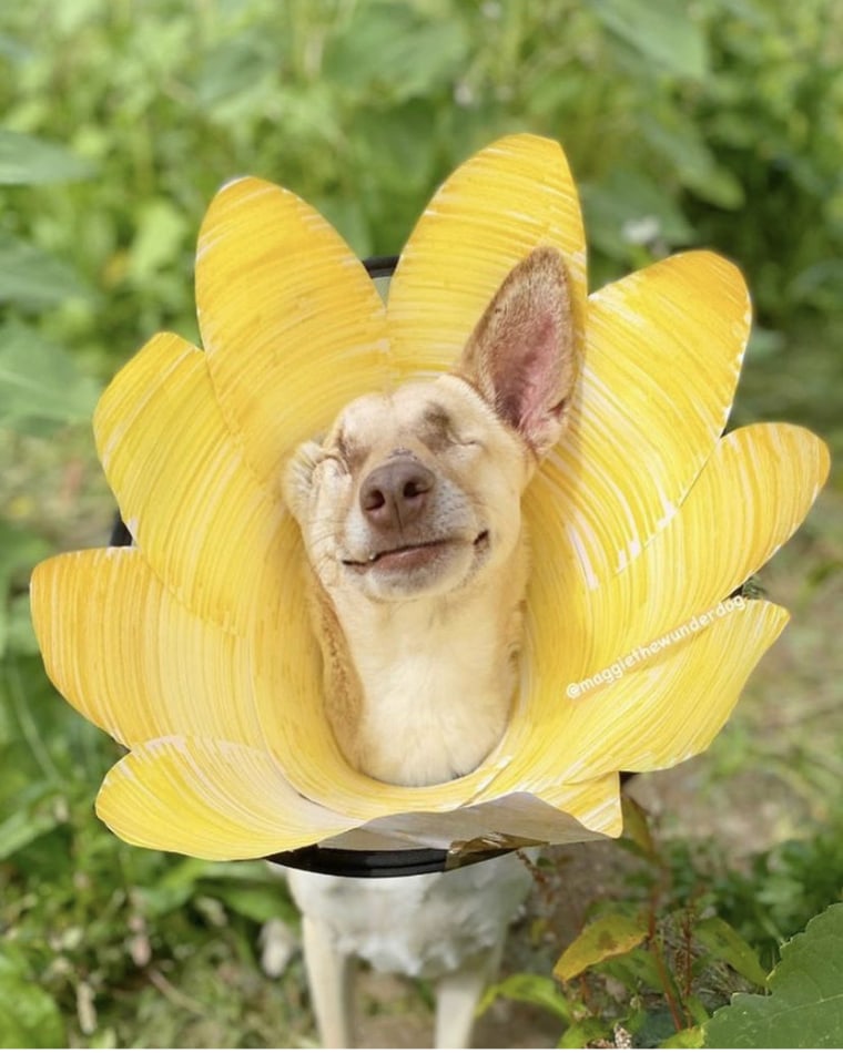 Maggie wears a large flower collar