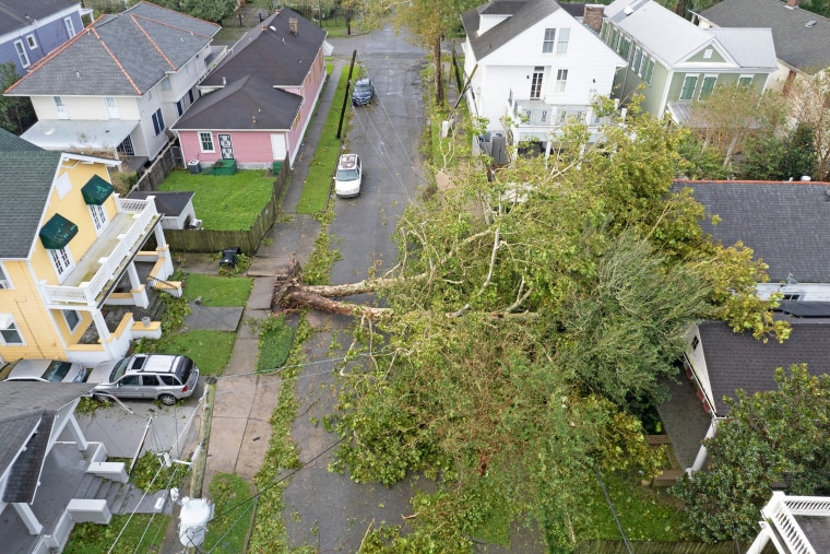 Image: A tree lies on a house in the aftermath of Hurricane Ida in New Orleans on Monday.