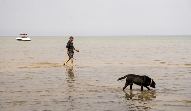 Image: George Ayers and his dog, Sonora, walk through the shallow waters of South Lake Tahoe.