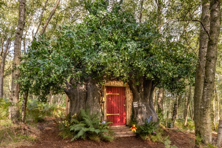A Winnie the Pooh inspired house in Ashdown Forest, the original Hundred Acre Wood, is available to book on Airbnb as part of Disney's 95th anniversary celebrations