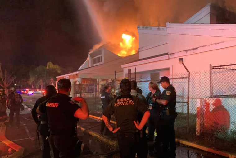 Image: Members of Orange County Animal Services, Orange County Fire Rescue and Pet Alliance of Greater Orlando respond to a fire at the Pet Alliance building on Wednesday night.