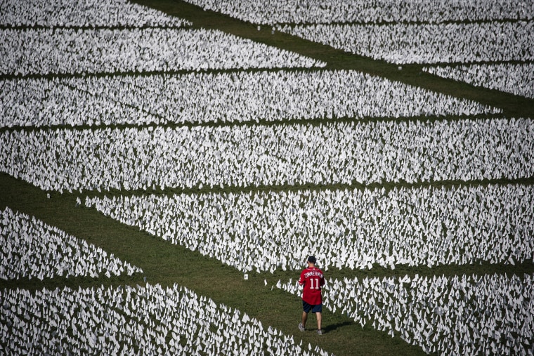 Over 650,000 White Flags Planted On National Mall To Honor American Covid Deaths