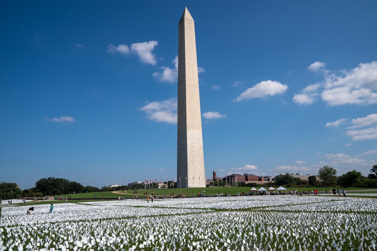 Flags Honoring COVID -19 Victims On National Mall