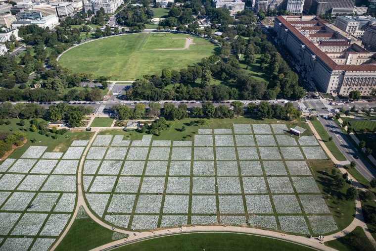 Over 650,000 White Flags Planted On National Mall To Honor American Covid Deaths