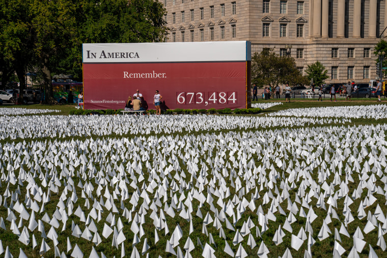 Flags Honoring COVID -19 Victims On National Mall