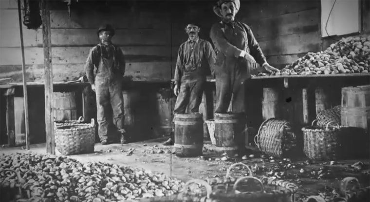 Over time, the supply of oysters in New York Harbor has been depleted, but the Billion Oyster Project is working to restore the once-thriving ecosystem.