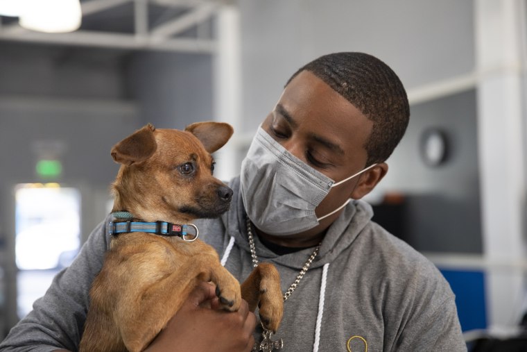 Kenan Thompson holds an adoptable dog.