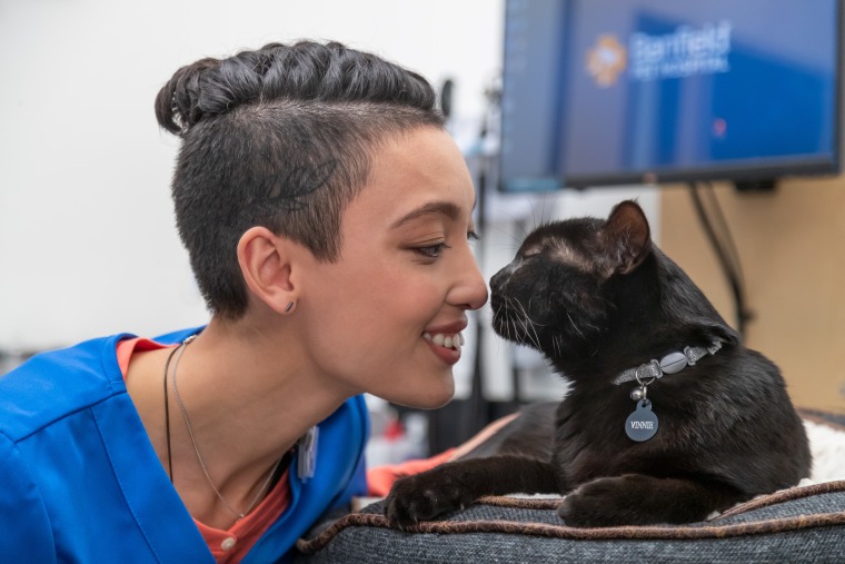 A veterinary professional gets close with a cat.