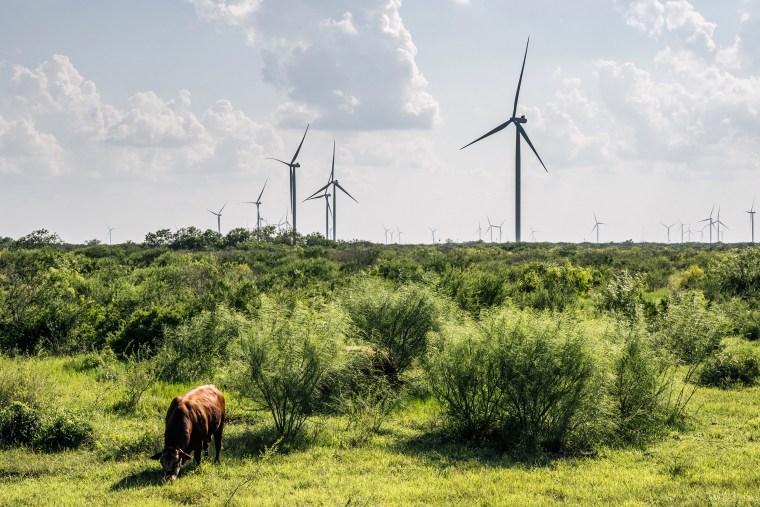 Image: Wind turbines in Papalote, Texas  on June 15, 2021.