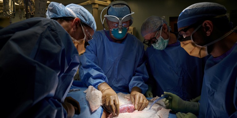 New advance in kidney transplants