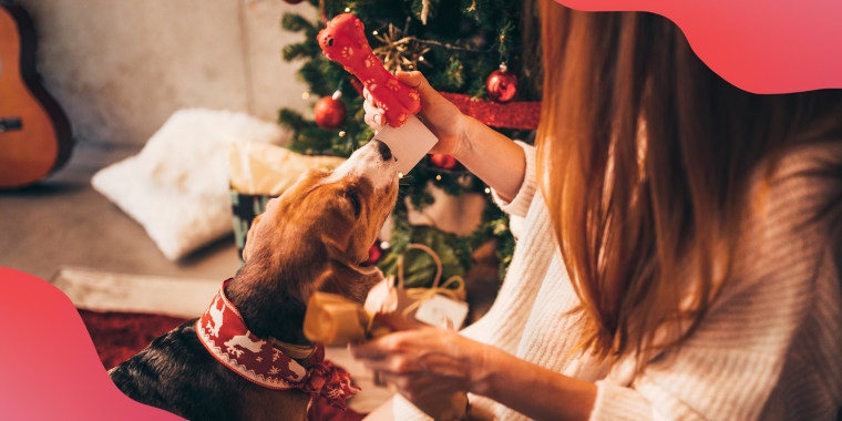 Woman giving Christmas present to cute puppy on Christmas day