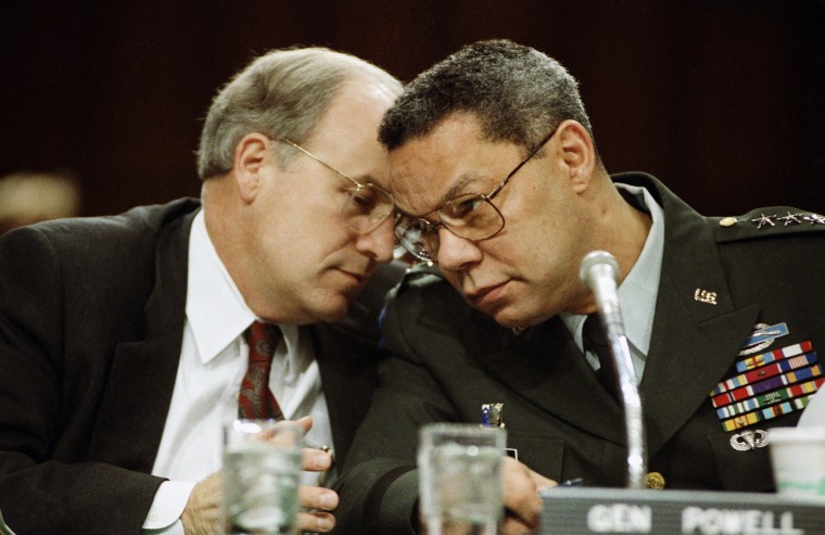 Colin Powell, Dick Cheney