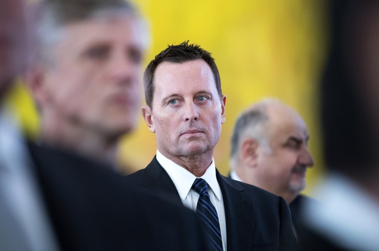 Image: United States Ambassador to Germany Richard Grenell attends a reception in Berlin on Jan. 14, 2019.